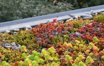 the cost of Rodden green roof installation