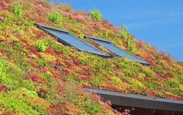 Rodden living roof systems