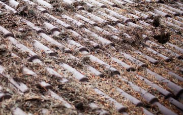 Rodden roof cleaning companies