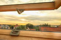 rated Rodden roof window companies