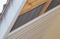 rated Rodden soffit repair companies